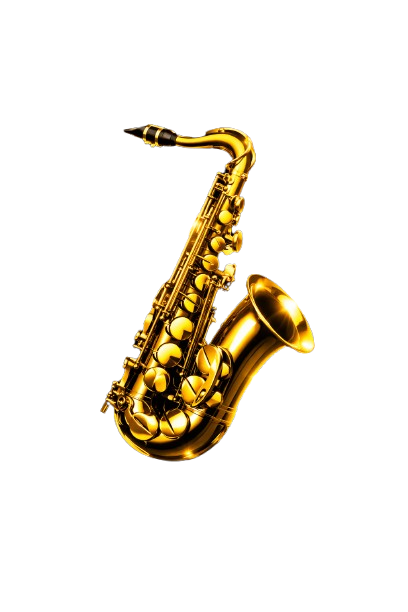 Instrumento 1